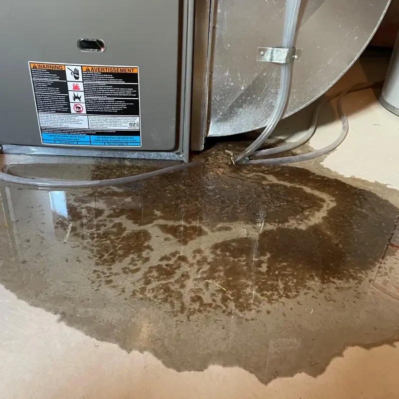 Appliance Leak Cleanup in Garrett, IN